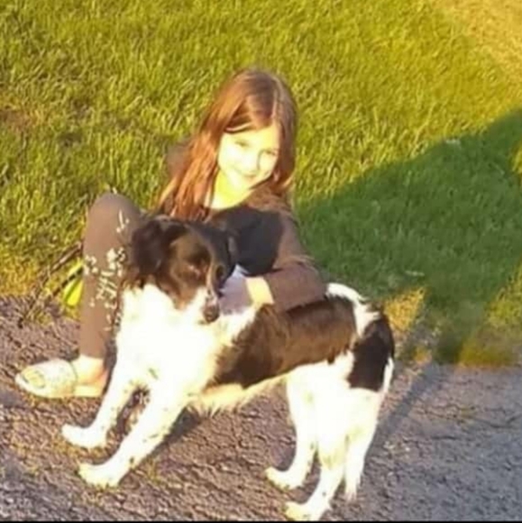 Updated: Why I Posh 🐶 🐈 - Picture 8 of 11